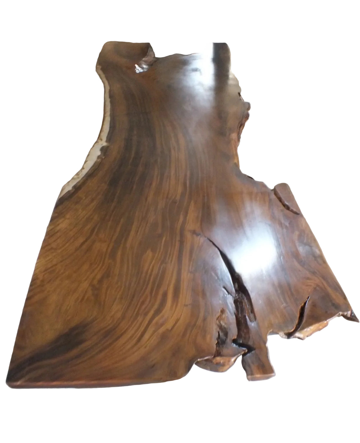 Suar Tischplatte 320 × 150 × 130 × 163 × 8 cm – Massivholz Baumkante aus einem Stück