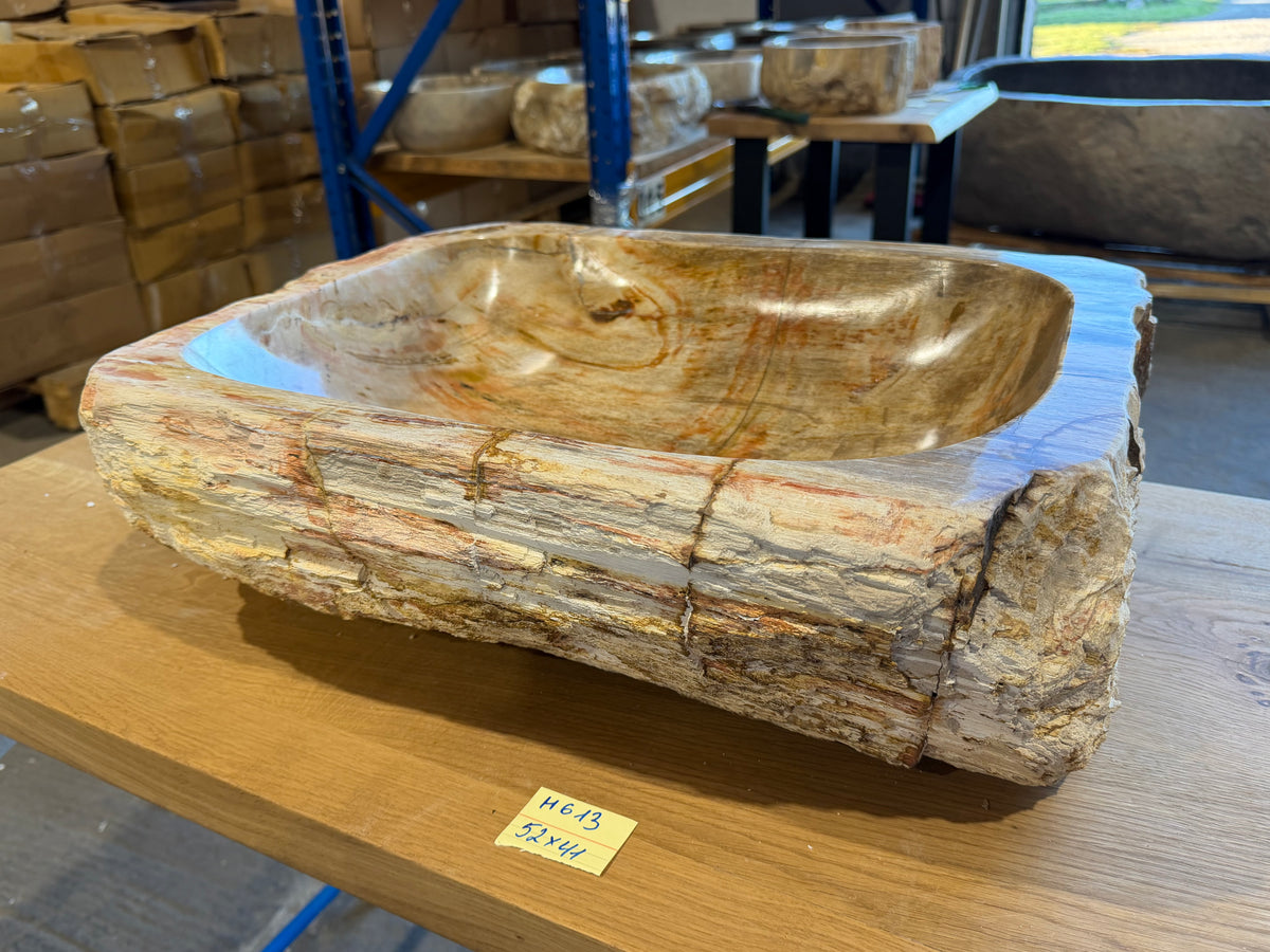 50-55cm Waschbecken aus versteinertem Holz – Ein Kunstwerk der Natur seit Millionen von Jahren