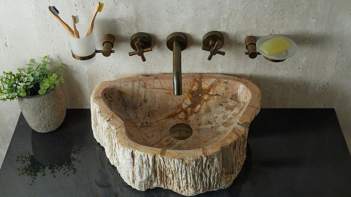 Waschbecken aus versteinertem Holz – Ein Kunstwerk der Natur seit Millionen von Jahren