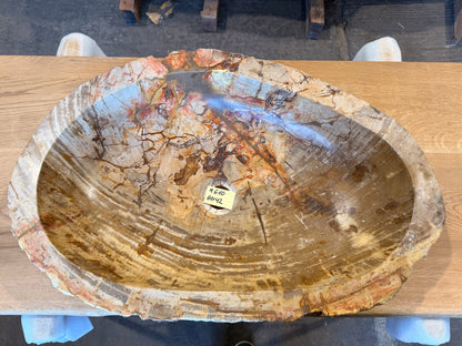 60cm Waschbecken aus versteinertem Holz – Ein Kunstwerk der Natur seit Millionen von Jahren