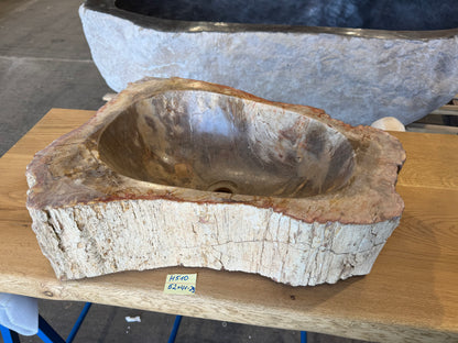 50-55cm Waschbecken aus versteinertem Holz – Ein Kunstwerk der Natur seit Millionen von Jahren
