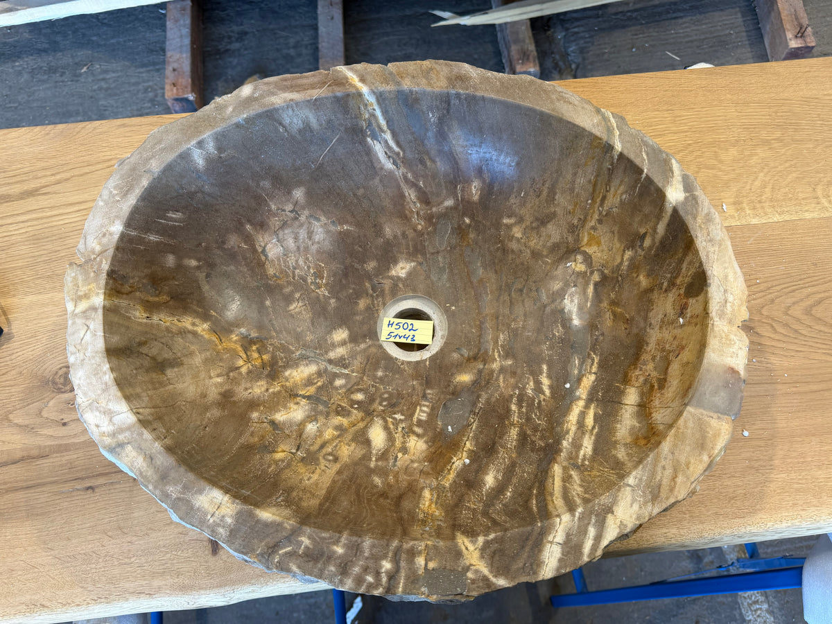 50-55cm Waschbecken aus versteinertem Holz – Ein Kunstwerk der Natur seit Millionen von Jahren