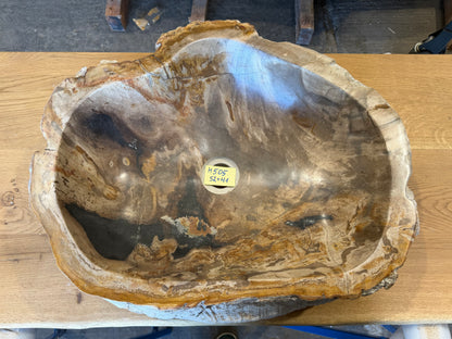 50-55cm Waschbecken aus versteinertem Holz – Ein Kunstwerk der Natur seit Millionen von Jahren