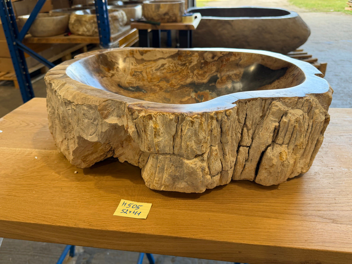50-55cm Waschbecken aus versteinertem Holz – Ein Kunstwerk der Natur seit Millionen von Jahren