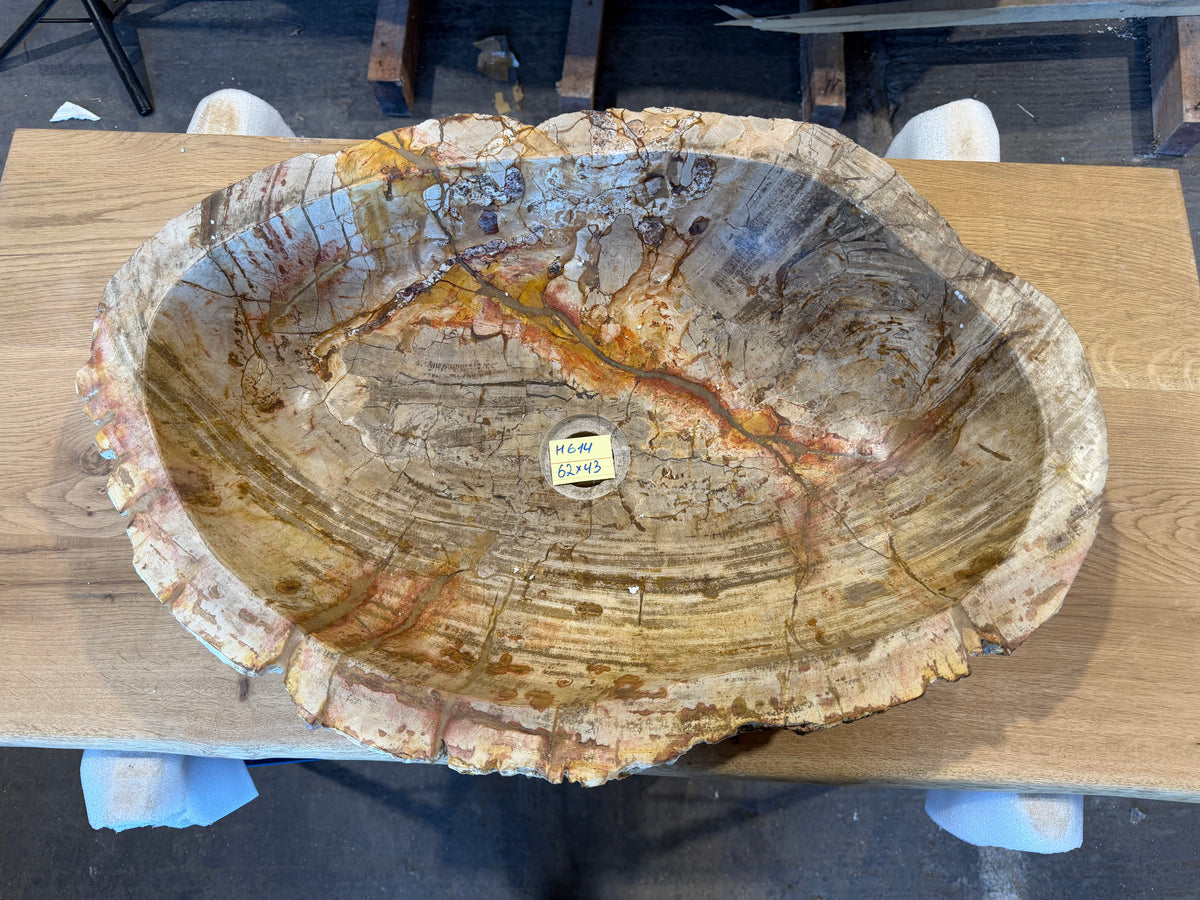 60cm Waschbecken aus versteinertem Holz – Ein Kunstwerk der Natur seit Millionen von Jahren