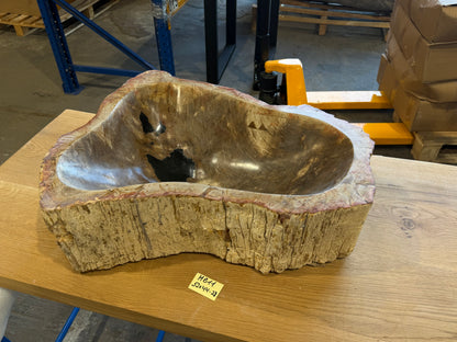 50-55cm Waschbecken aus versteinertem Holz – Ein Kunstwerk der Natur seit Millionen von Jahren