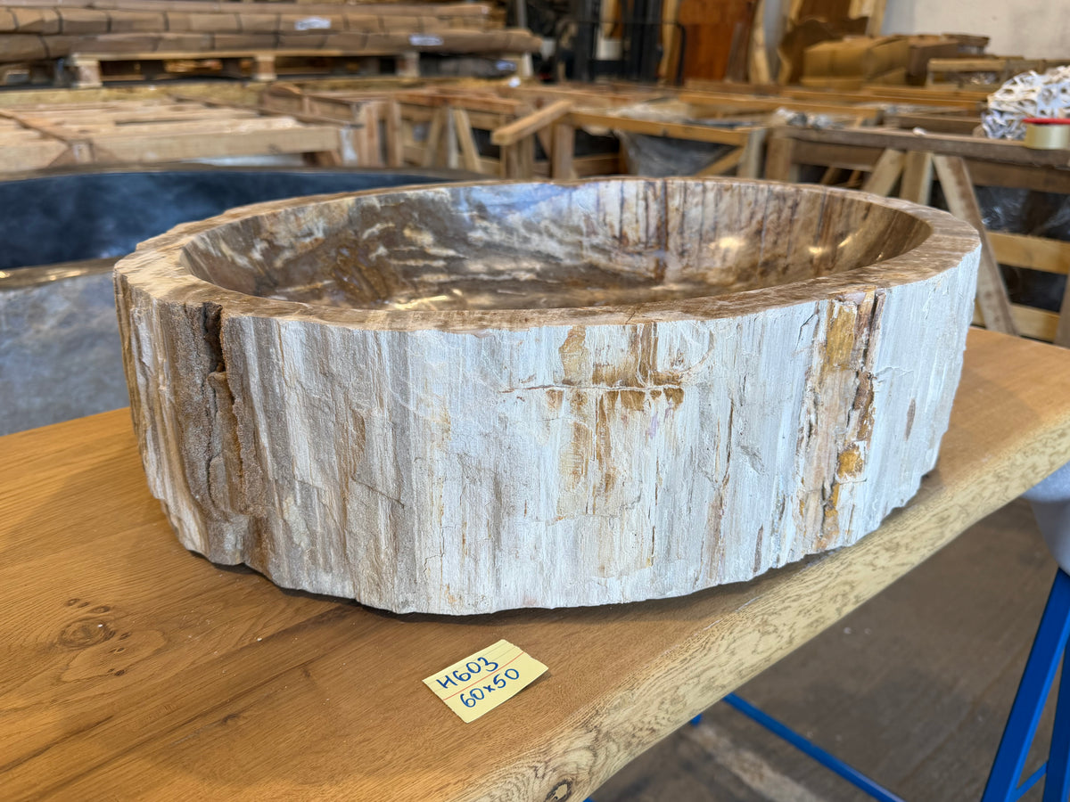 60cm Waschbecken aus versteinertem Holz – Ein Kunstwerk der Natur seit Millionen von Jahren