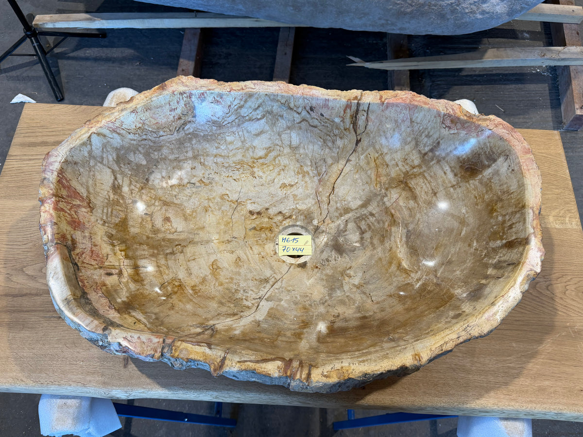 60cm Waschbecken aus versteinertem Holz – Ein Kunstwerk der Natur seit Millionen von Jahren