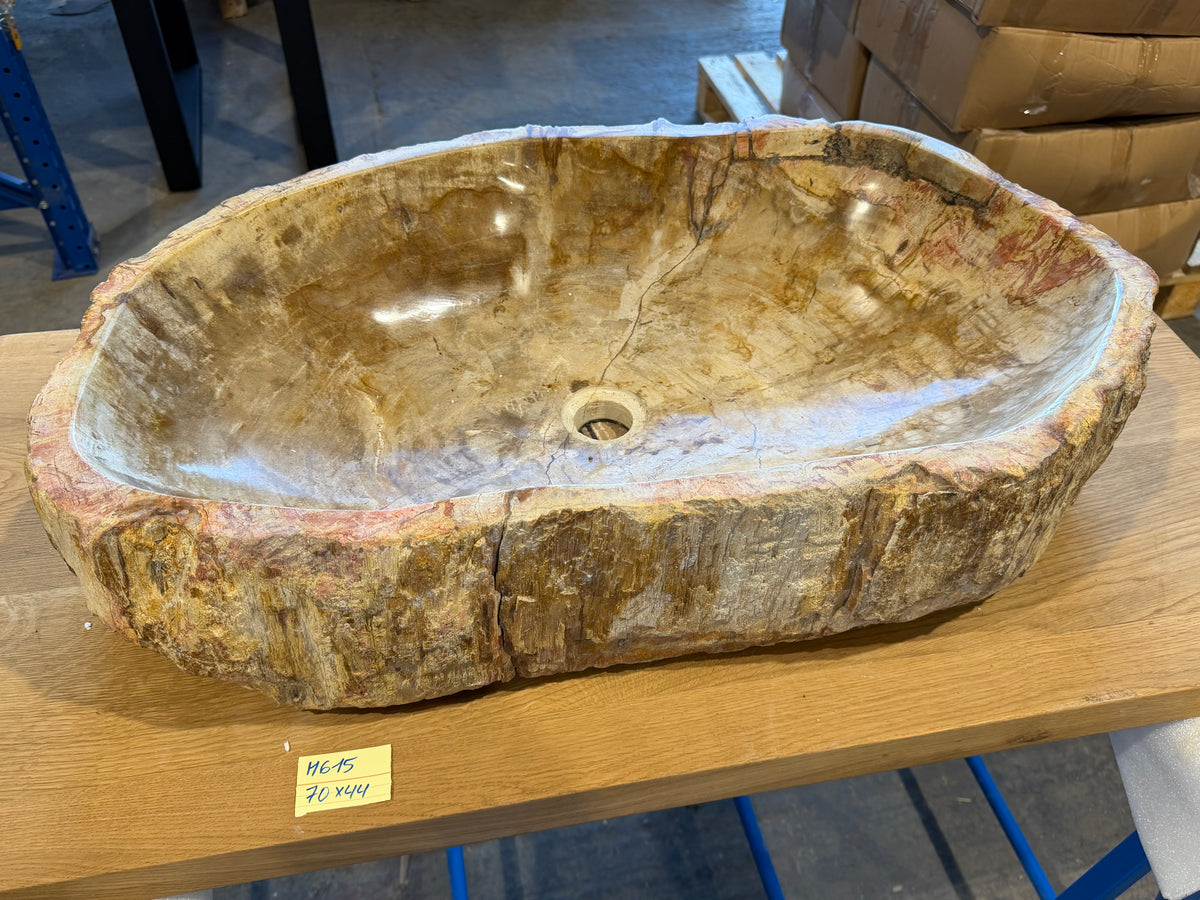 60cm Waschbecken aus versteinertem Holz – Ein Kunstwerk der Natur seit Millionen von Jahren