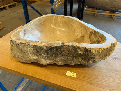 50-55cm Waschbecken aus versteinertem Holz – Ein Kunstwerk der Natur seit Millionen von Jahren