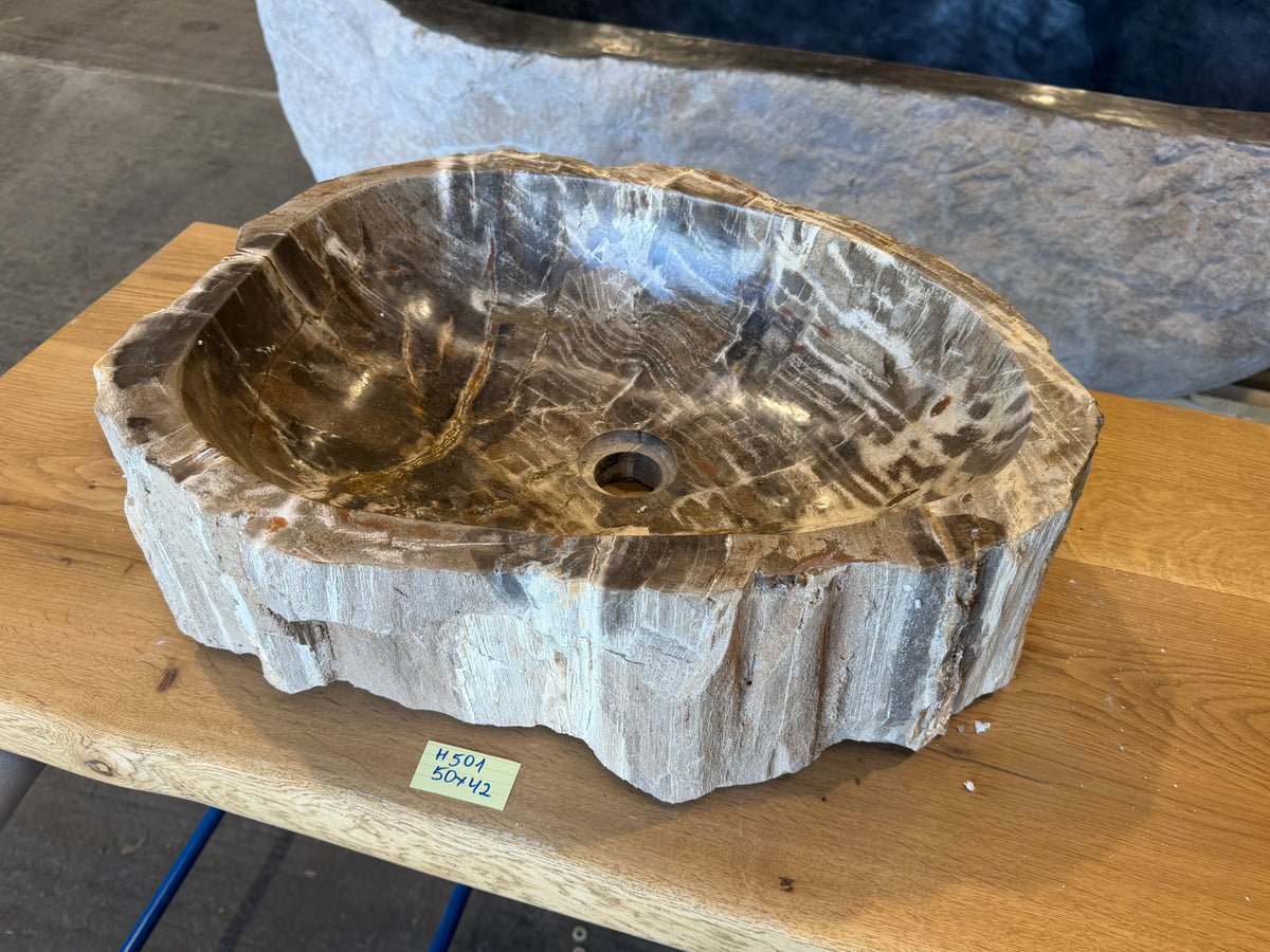 50-55cm Waschbecken aus versteinertem Holz – Ein Kunstwerk der Natur seit Millionen von Jahren