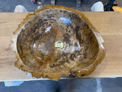 50-55cm Waschbecken aus versteinertem Holz – Ein Kunstwerk der Natur seit Millionen von Jahren