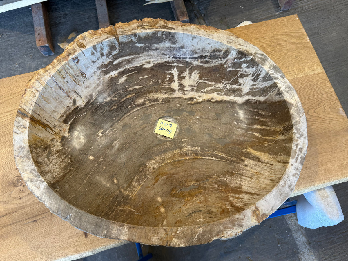 60cm Waschbecken aus versteinertem Holz – Ein Kunstwerk der Natur seit Millionen von Jahren