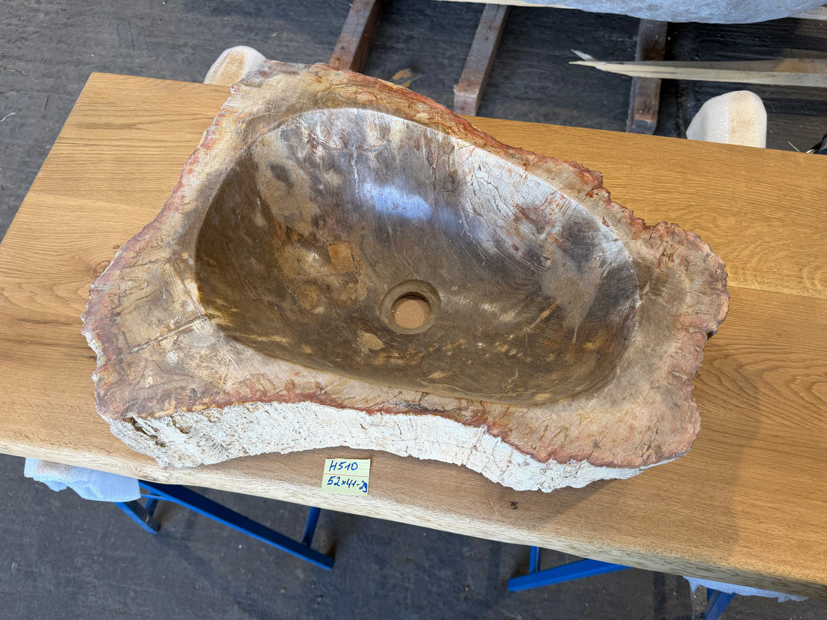 50-55cm Waschbecken aus versteinertem Holz – Ein Kunstwerk der Natur seit Millionen von Jahren