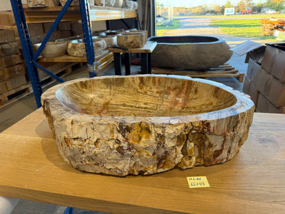 60cm Waschbecken aus versteinertem Holz – Ein Kunstwerk der Natur seit Millionen von Jahren