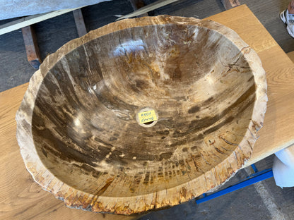 60cm Waschbecken aus versteinertem Holz – Ein Kunstwerk der Natur seit Millionen von Jahren