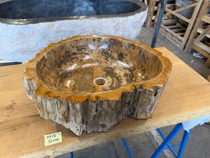 50-55cm Waschbecken aus versteinertem Holz – Ein Kunstwerk der Natur seit Millionen von Jahren