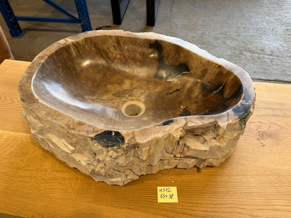 50-55cm Waschbecken aus versteinertem Holz – Ein Kunstwerk der Natur seit Millionen von Jahren
