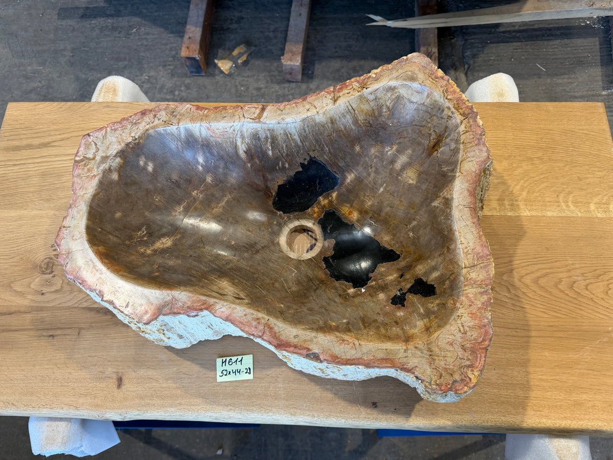 50-55cm Waschbecken aus versteinertem Holz – Ein Kunstwerk der Natur seit Millionen von Jahren