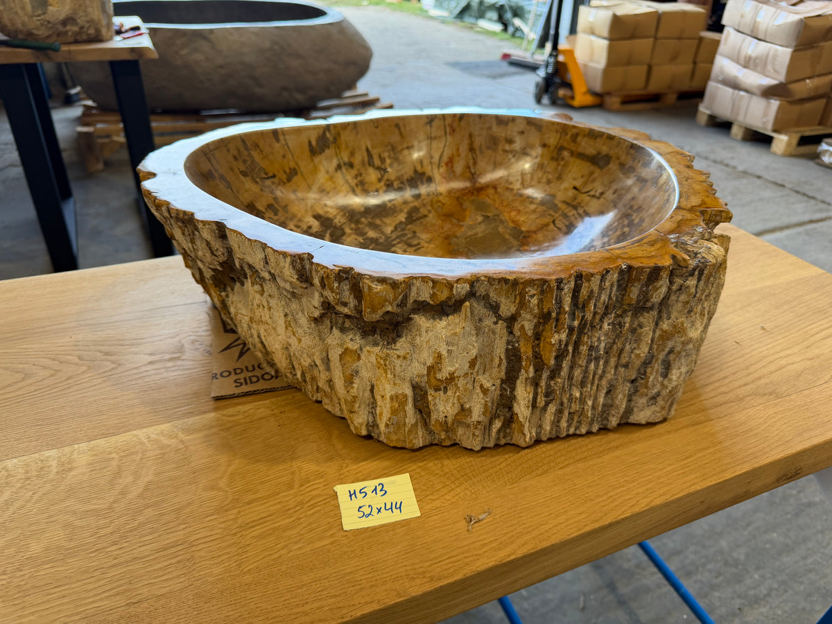 50-55cm Waschbecken aus versteinertem Holz – Ein Kunstwerk der Natur seit Millionen von Jahren