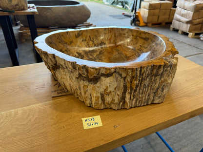 50-55cm Waschbecken aus versteinertem Holz – Ein Kunstwerk der Natur seit Millionen von Jahren