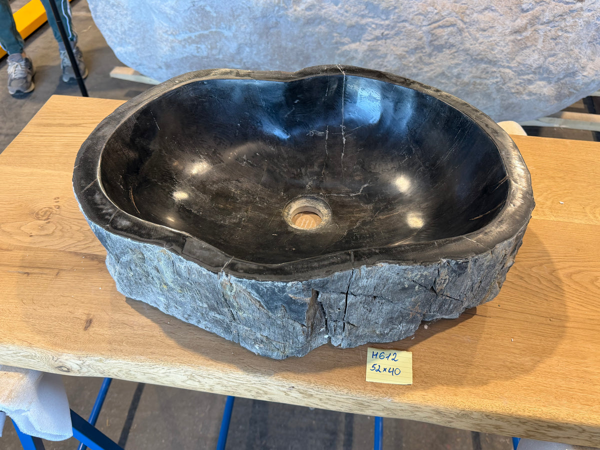 50-55cm Waschbecken aus versteinertem Holz – Ein Kunstwerk der Natur seit Millionen von Jahren