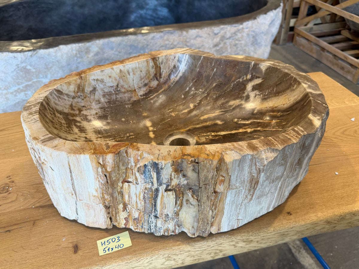 50-55cm Waschbecken aus versteinertem Holz – Ein Kunstwerk der Natur seit Millionen von Jahren