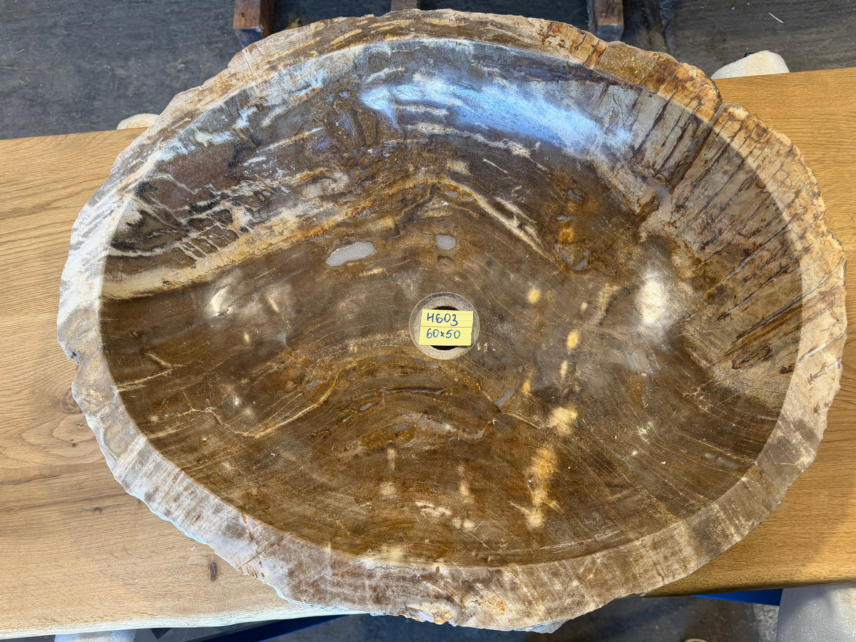 60cm Waschbecken aus versteinertem Holz – Ein Kunstwerk der Natur seit Millionen von Jahren