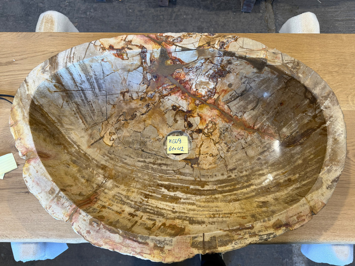 60cm Waschbecken aus versteinertem Holz – Ein Kunstwerk der Natur seit Millionen von Jahren