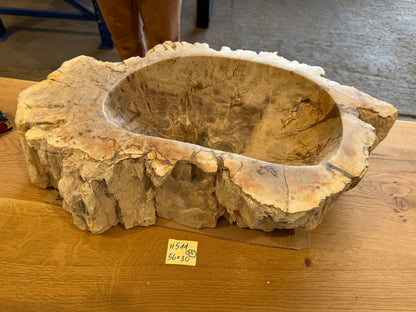 50-55cm Waschbecken aus versteinertem Holz – Ein Kunstwerk der Natur seit Millionen von Jahren