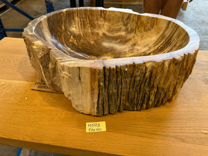 50-55cm Waschbecken aus versteinertem Holz – Ein Kunstwerk der Natur seit Millionen von Jahren