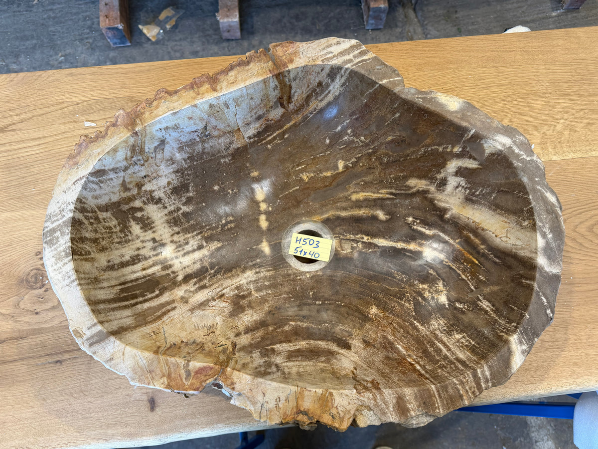 50-55cm Waschbecken aus versteinertem Holz – Ein Kunstwerk der Natur seit Millionen von Jahren