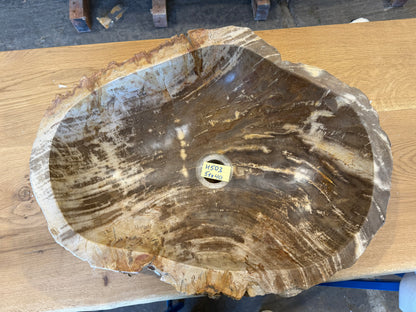 50-55cm Waschbecken aus versteinertem Holz – Ein Kunstwerk der Natur seit Millionen von Jahren