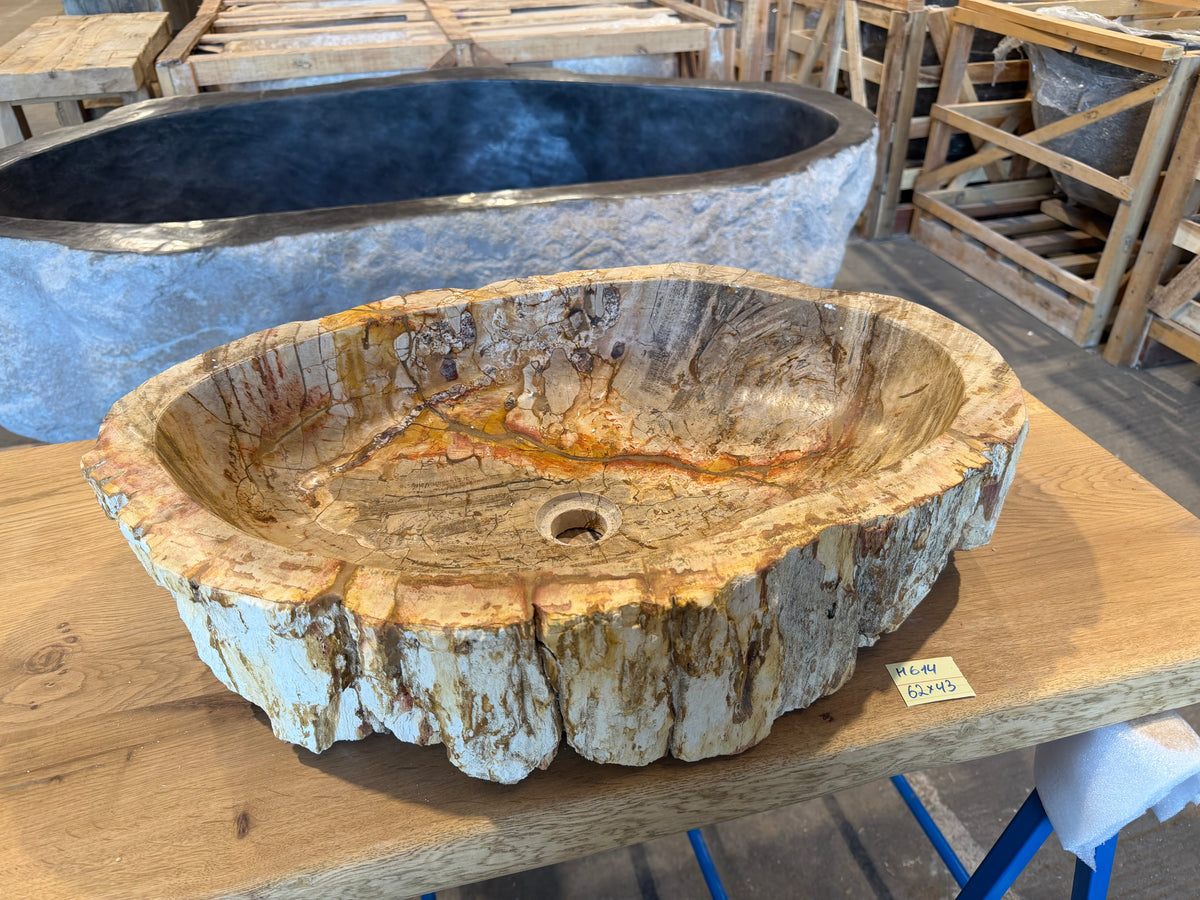 60cm Waschbecken aus versteinertem Holz – Ein Kunstwerk der Natur seit Millionen von Jahren