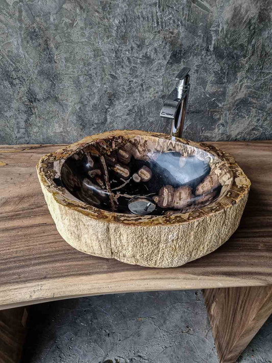 Waschbecken aus versteinertem Holz – Ein Kunstwerk der Natur seit Millionen von Jahren