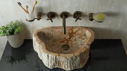 Waschbecken aus versteinertem Holz – Ein Kunstwerk der Natur seit Millionen von Jahren