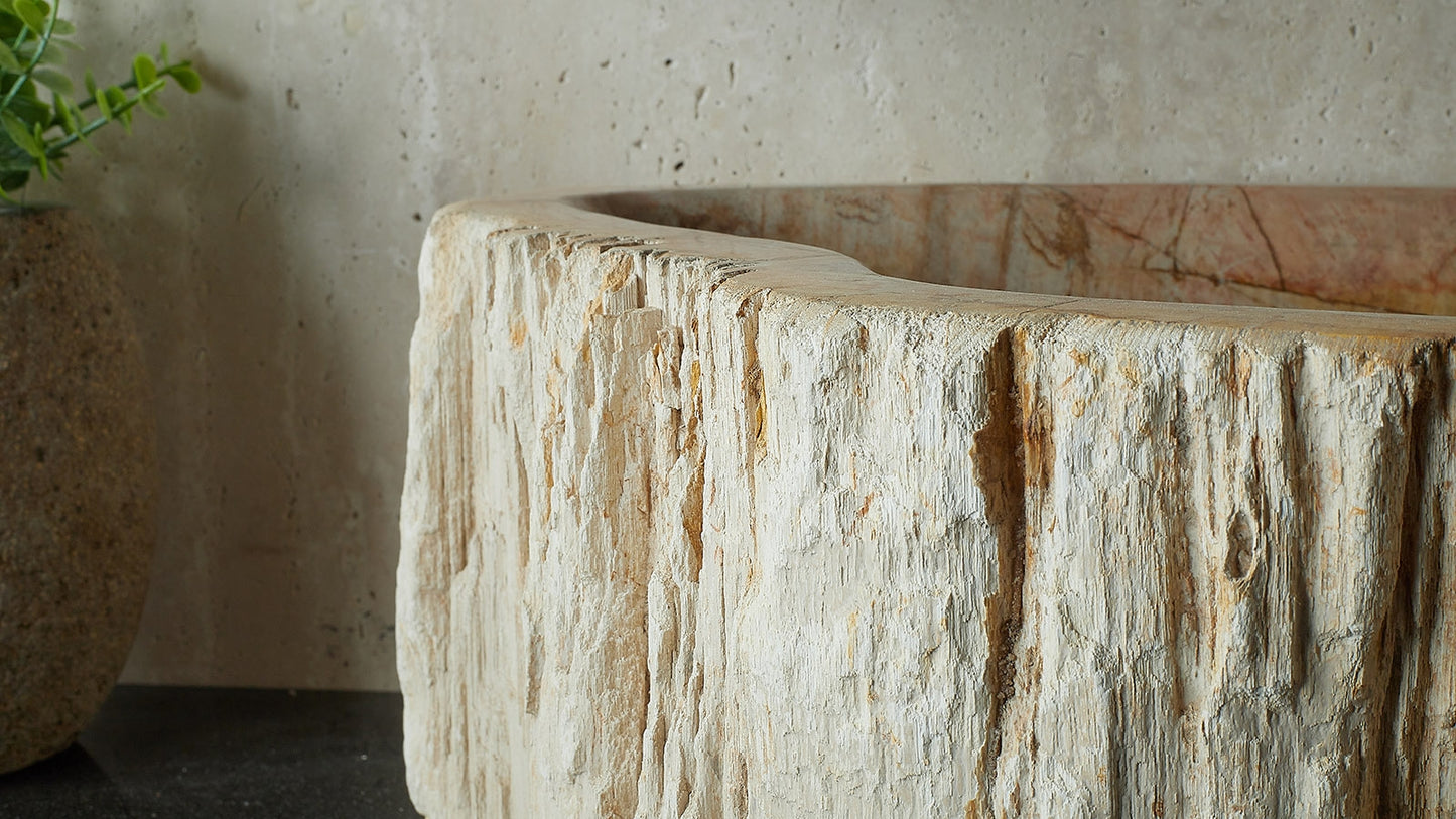 Waschbecken aus versteinertem Holz – Ein Kunstwerk der Natur seit Millionen von Jahren