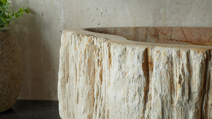 Waschbecken aus versteinertem Holz – Ein Kunstwerk der Natur seit Millionen von Jahren